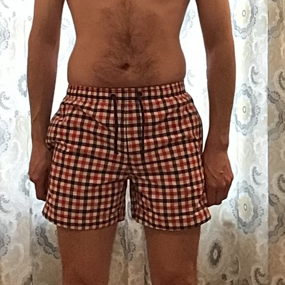 H&M Plaid Swim Trunks